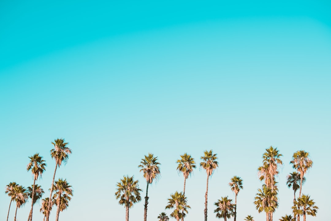 Photo Clean website layout
